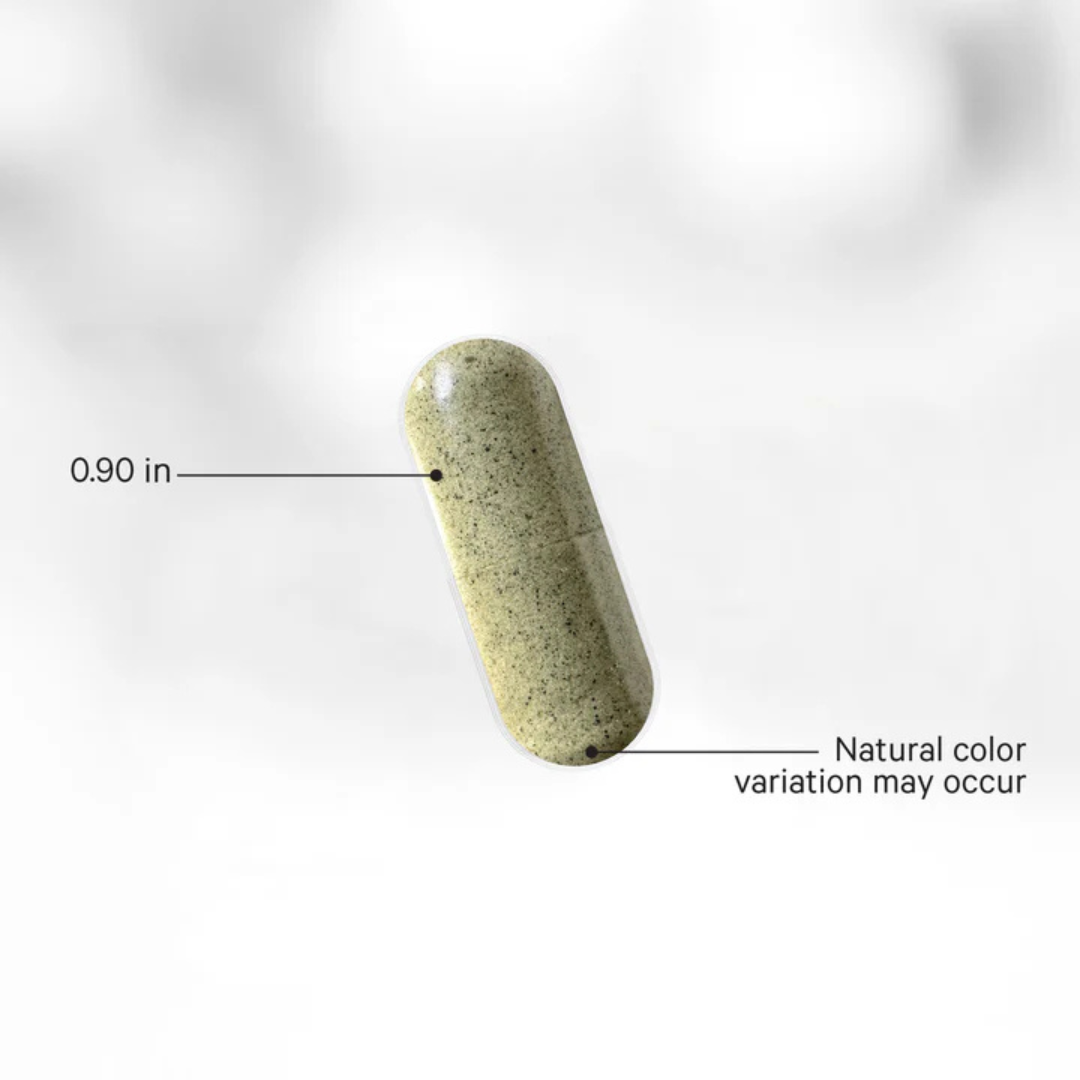 Wildcrafted Sea Moss - Image 4
