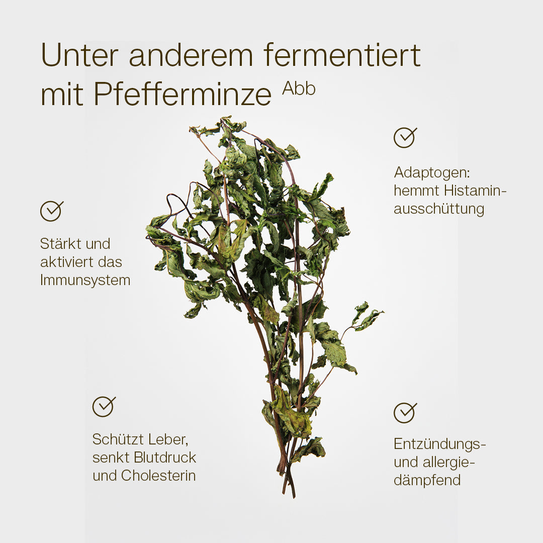 Oral Mint Spray - Image 3
